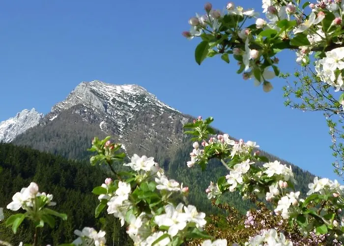 Apartament Gaestehaus Eckau *